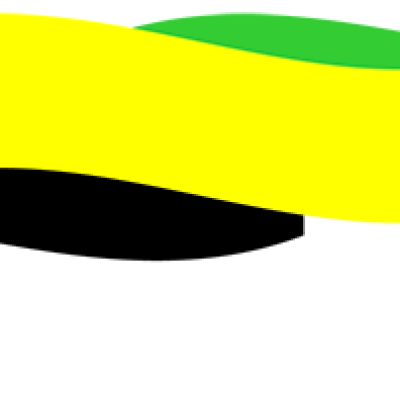 General Election Debates 2025 Press Conference